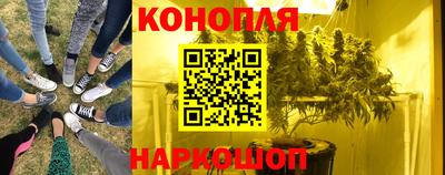 не бодяженный Гай