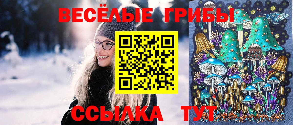 Галлюциногенные грибы Psilocybine cubensis  Псилоцибиновые грибы прущие грибы  что такое   Нарткала  Вход с VPN 